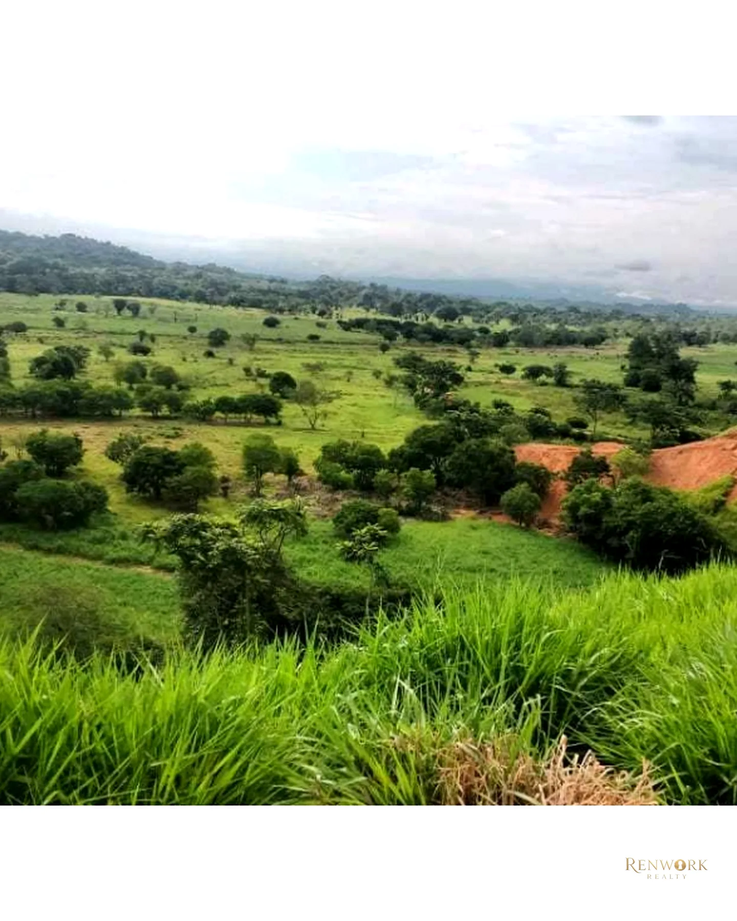 VENTA FINCA PARA CEBA ENTRE PERTO BOYACÁ Y P.BERRÍO SOBRE RUTA DEL SOL · foto 22