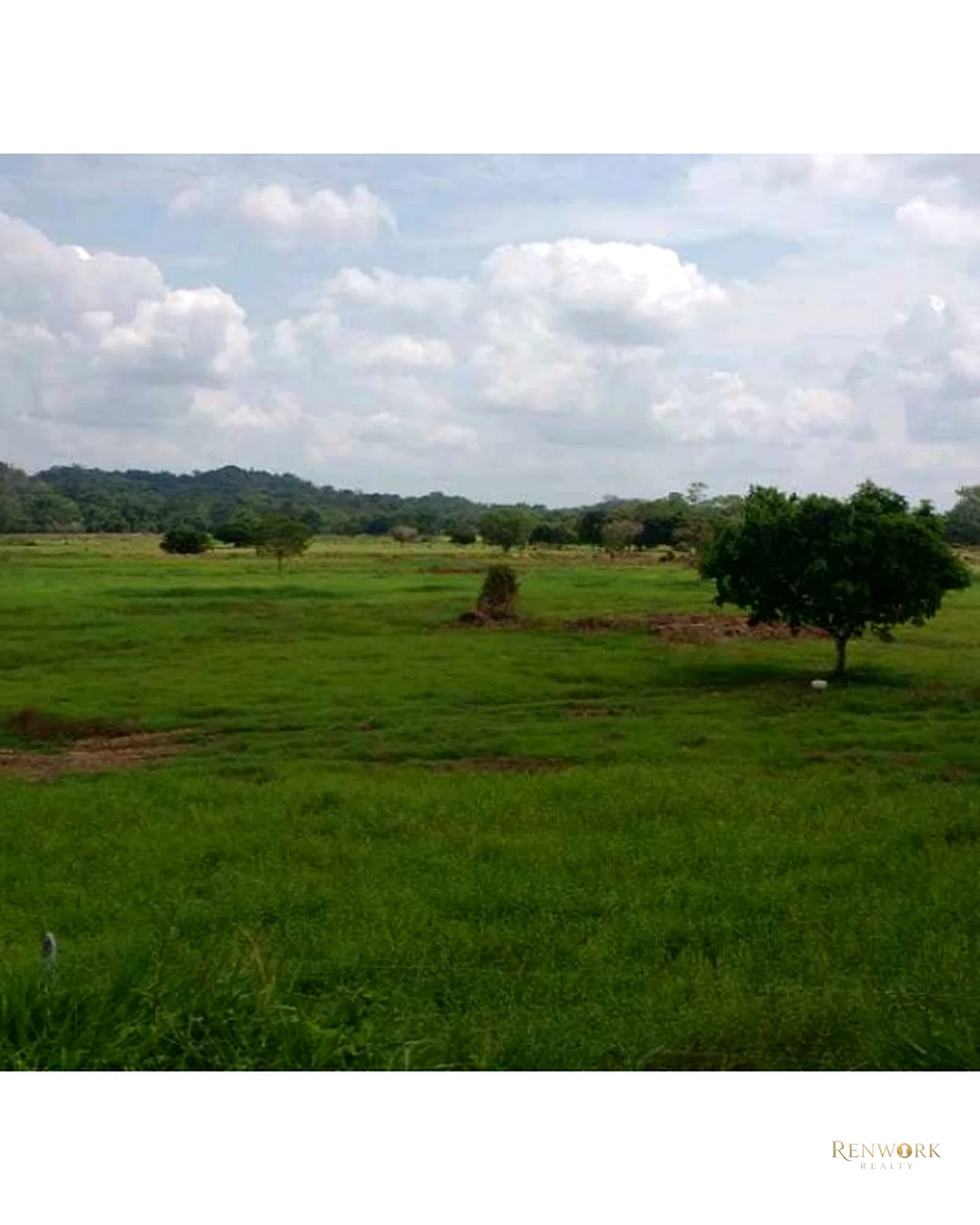 VENTA FINCA PARA CEBA ENTRE PERTO BOYACÁ Y P.BERRÍO SOBRE RUTA DEL SOL · foto 1