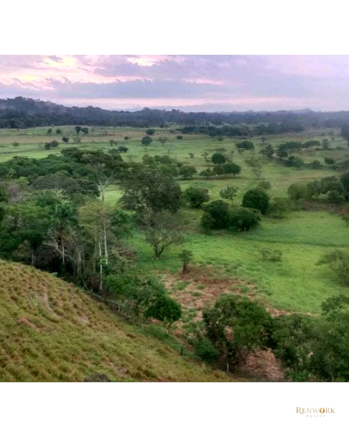 VENTA FINCA PARA CEBA ENTRE PERTO BOYACÁ Y P.BERRÍO SOBRE RUTA DEL SOL · foto 20