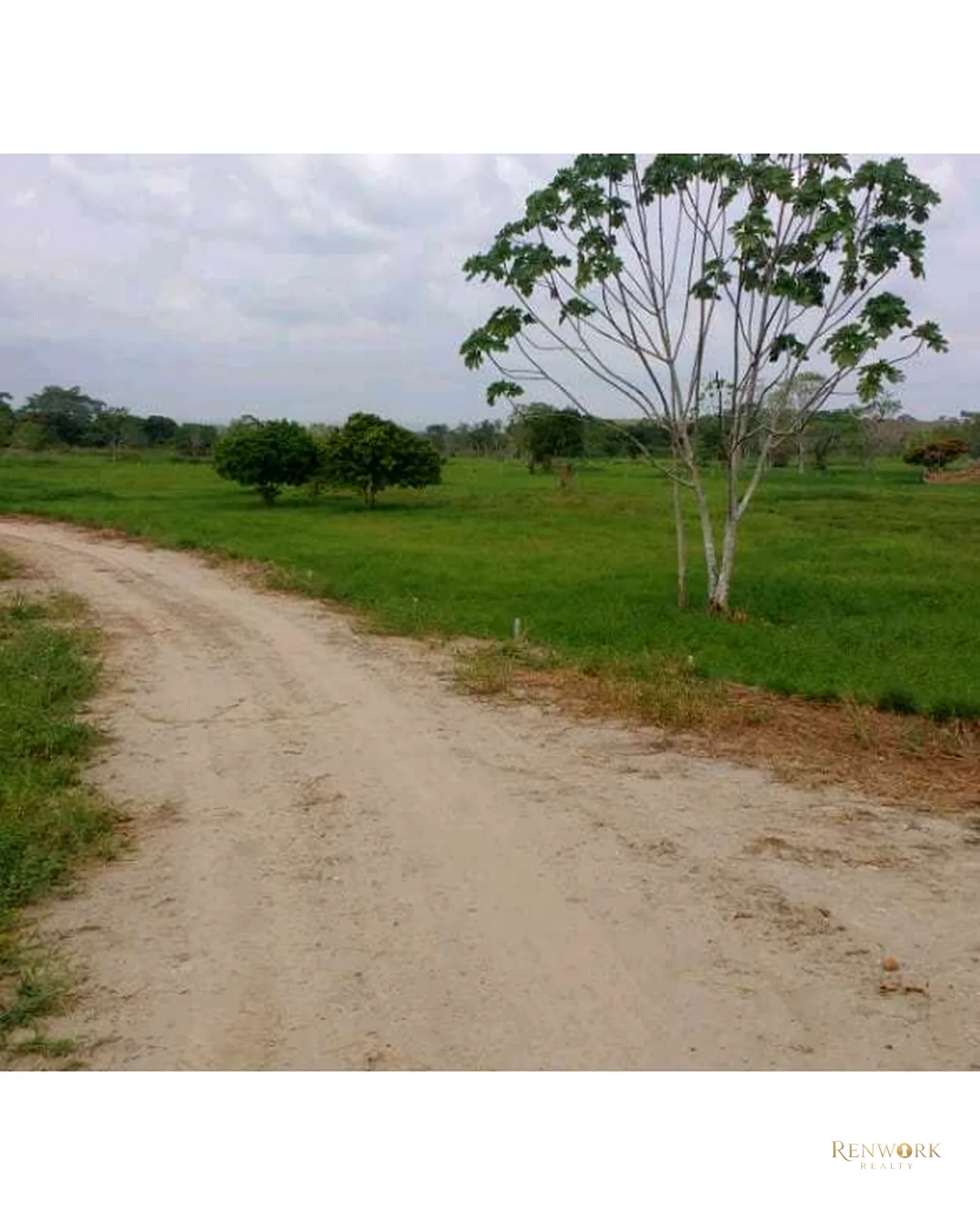 VENTA FINCA PARA CEBA ENTRE PERTO BOYACÁ Y P.BERRÍO SOBRE RUTA DEL SOL · foto 7
