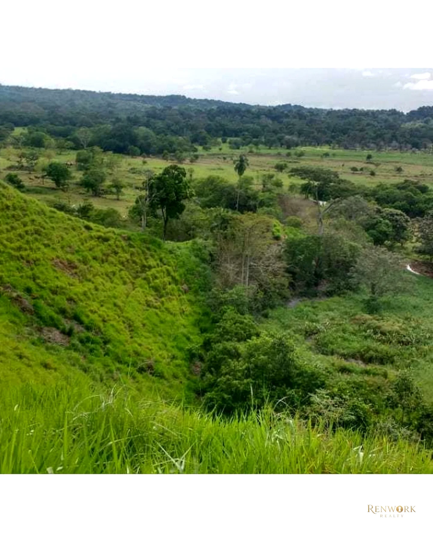 VENTA FINCA PARA CEBA ENTRE PERTO BOYACÁ Y P.BERRÍO SOBRE RUTA DEL SOL · foto 18