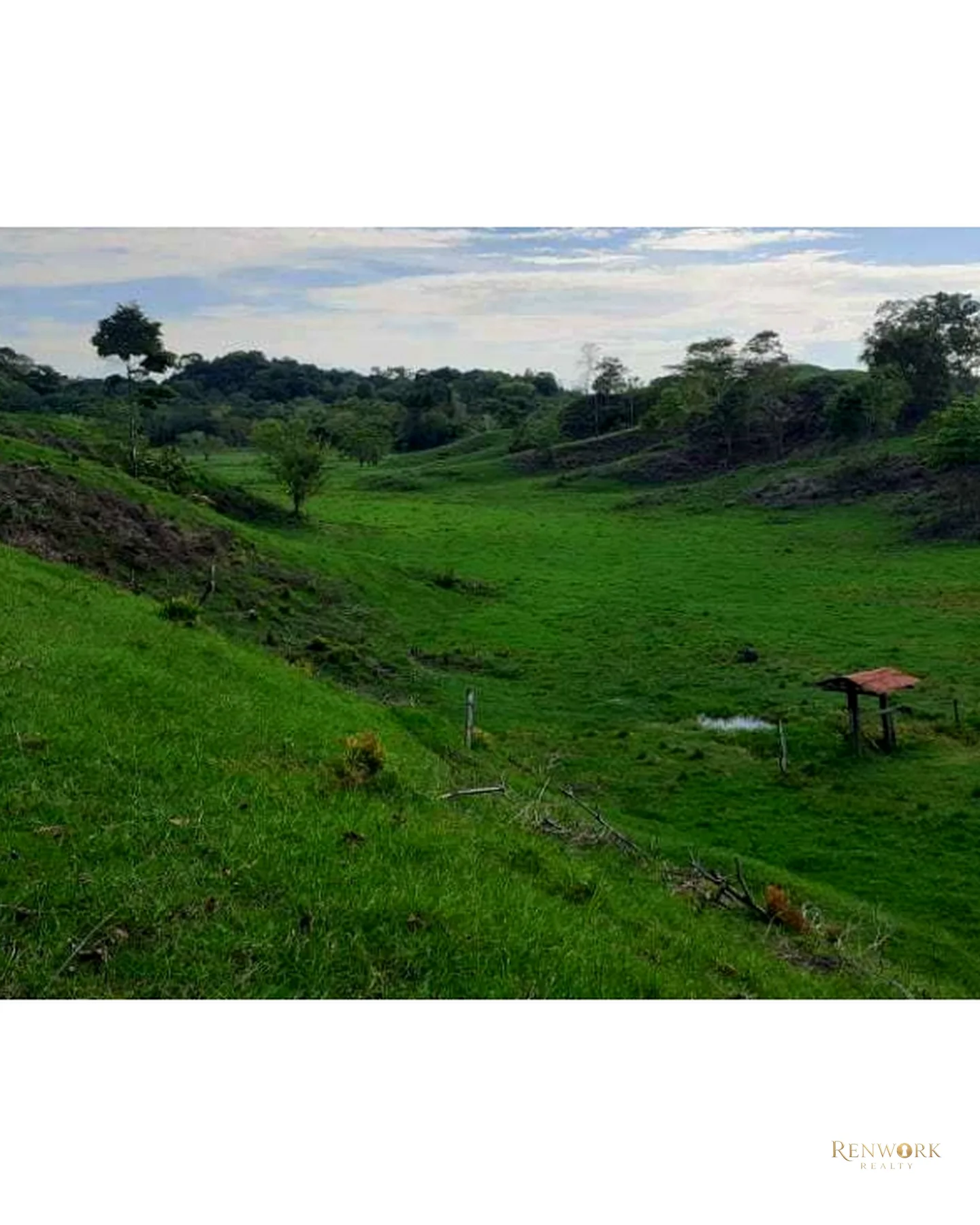 VENTA FINCA PARA CEBA ENTRE PERTO BOYACÁ Y P.BERRÍO SOBRE RUTA DEL SOL · foto 6