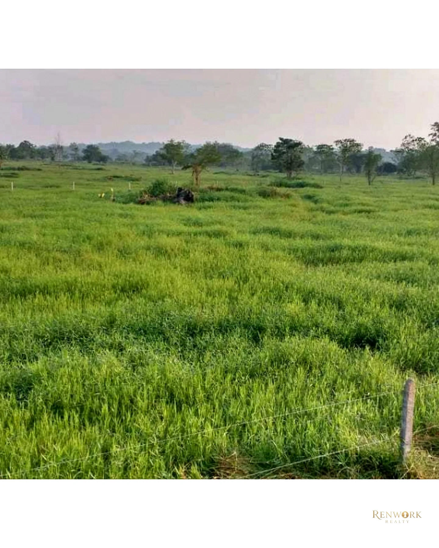 VENTA FINCA PARA CEBA ENTRE PERTO BOYACÁ Y P.BERRÍO SOBRE RUTA DEL SOL · foto 4