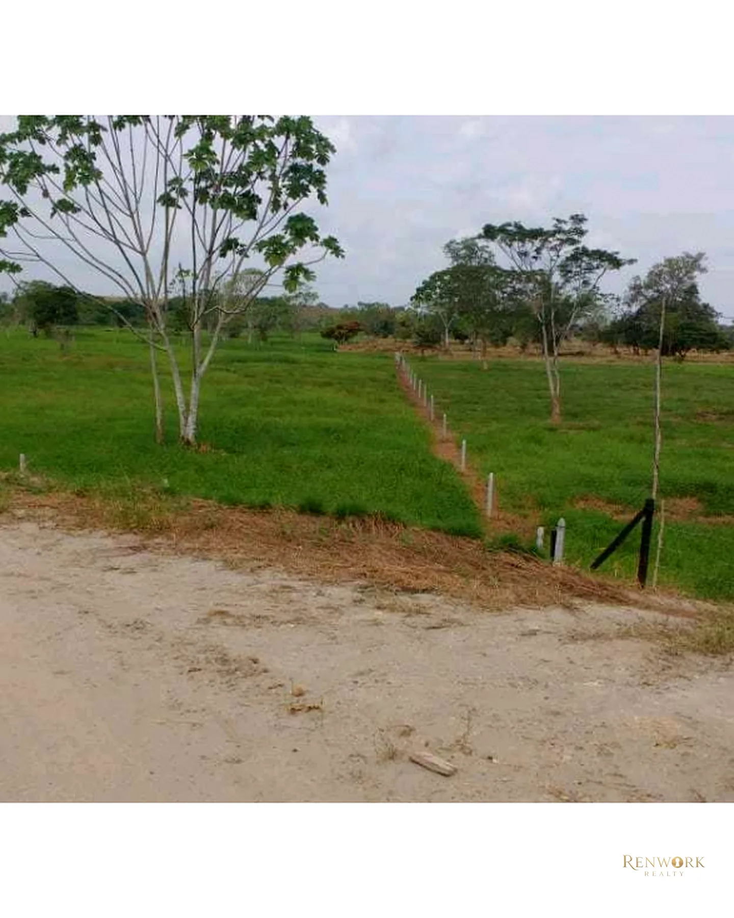 VENTA FINCA PARA CEBA ENTRE PERTO BOYACÁ Y P.BERRÍO SOBRE RUTA DEL SOL · foto 5