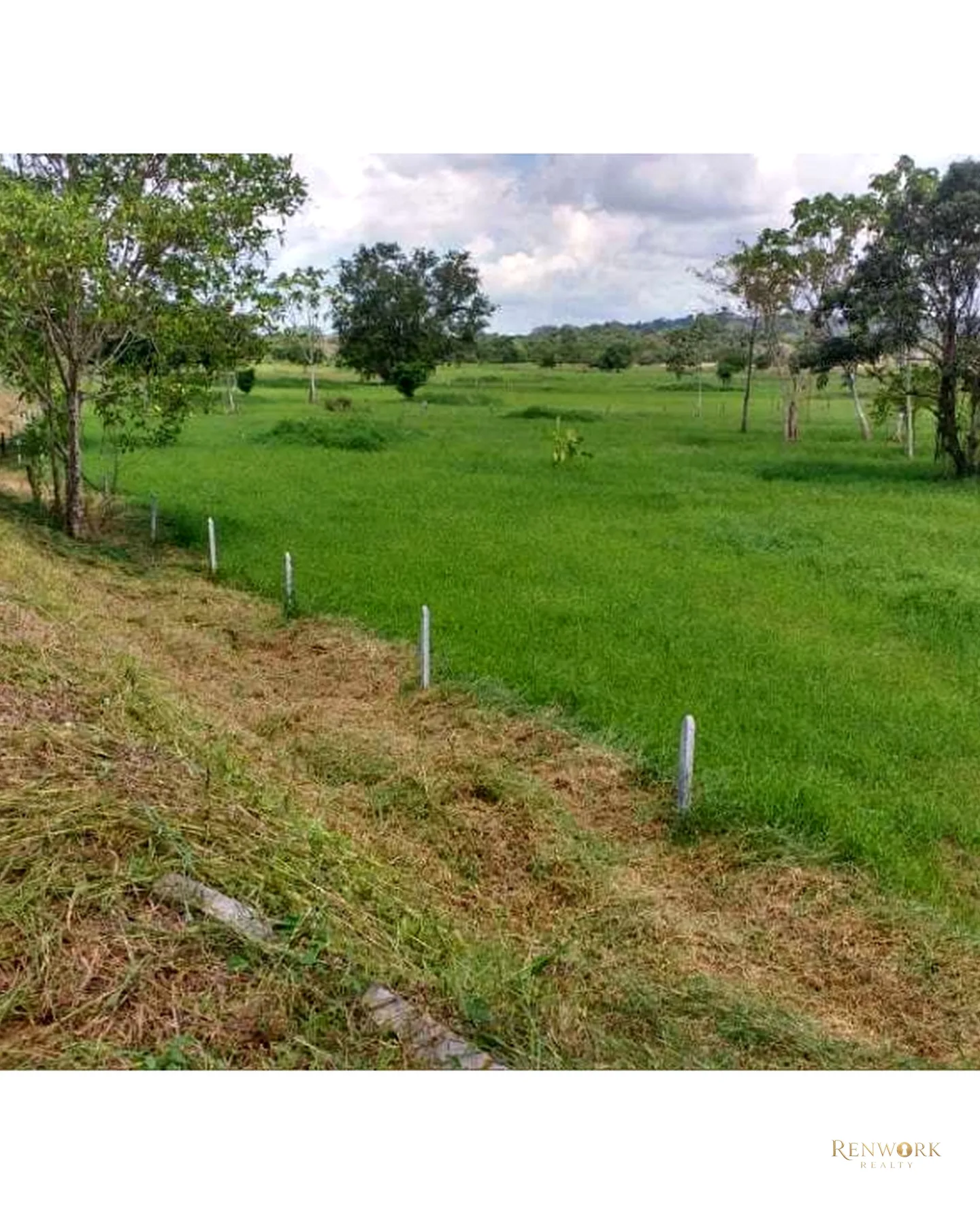 VENTA FINCA PARA CEBA ENTRE PERTO BOYACÁ Y P.BERRÍO SOBRE RUTA DEL SOL · foto 15