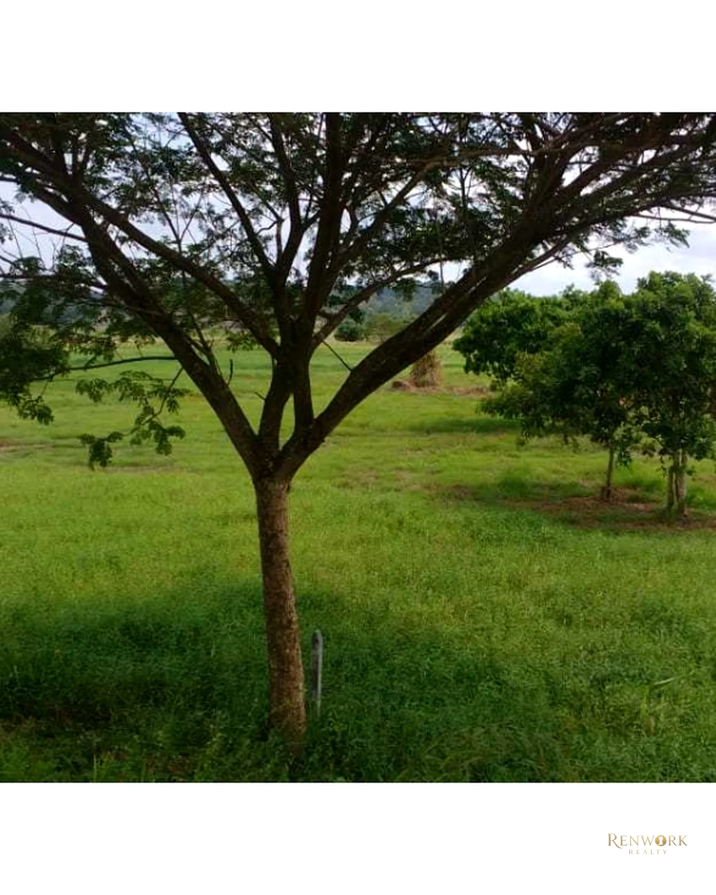 VENTA FINCA PARA CEBA ENTRE PERTO BOYACÁ Y P.BERRÍO SOBRE RUTA DEL SOL · foto 8