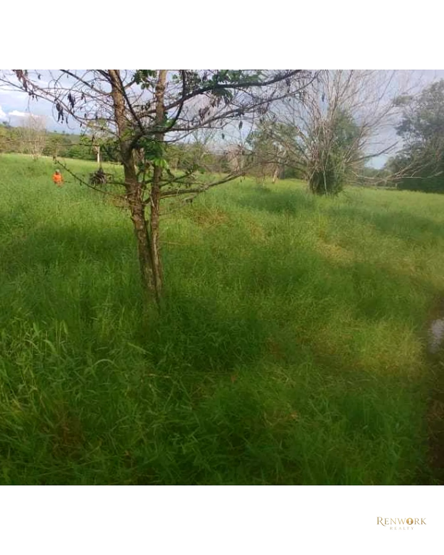 VENTA FINCA PARA CEBA ENTRE PERTO BOYACÁ Y P.BERRÍO SOBRE RUTA DEL SOL · foto 16