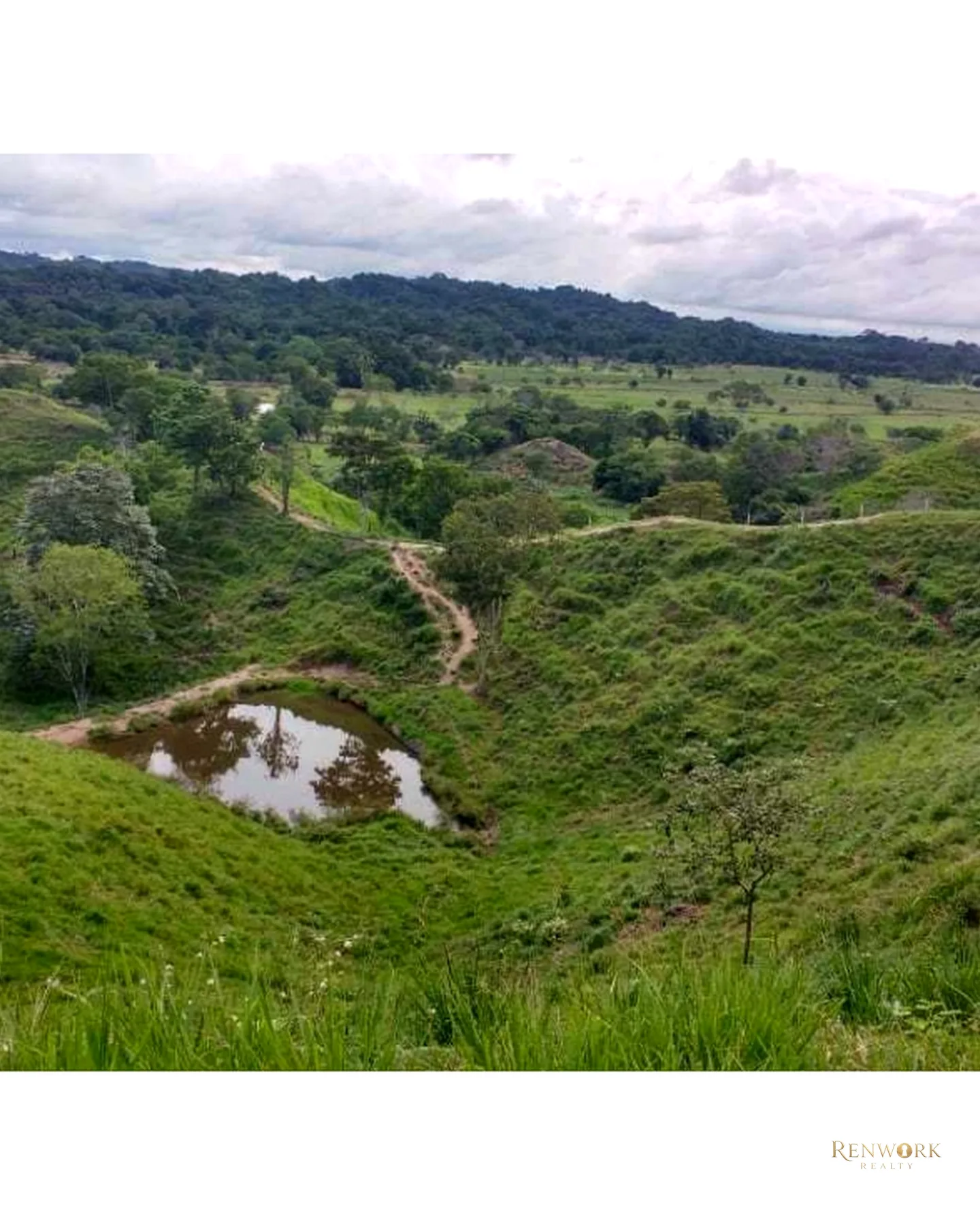 VENTA FINCA PARA CEBA ENTRE PERTO BOYACÁ Y P.BERRÍO SOBRE RUTA DEL SOL · foto 11