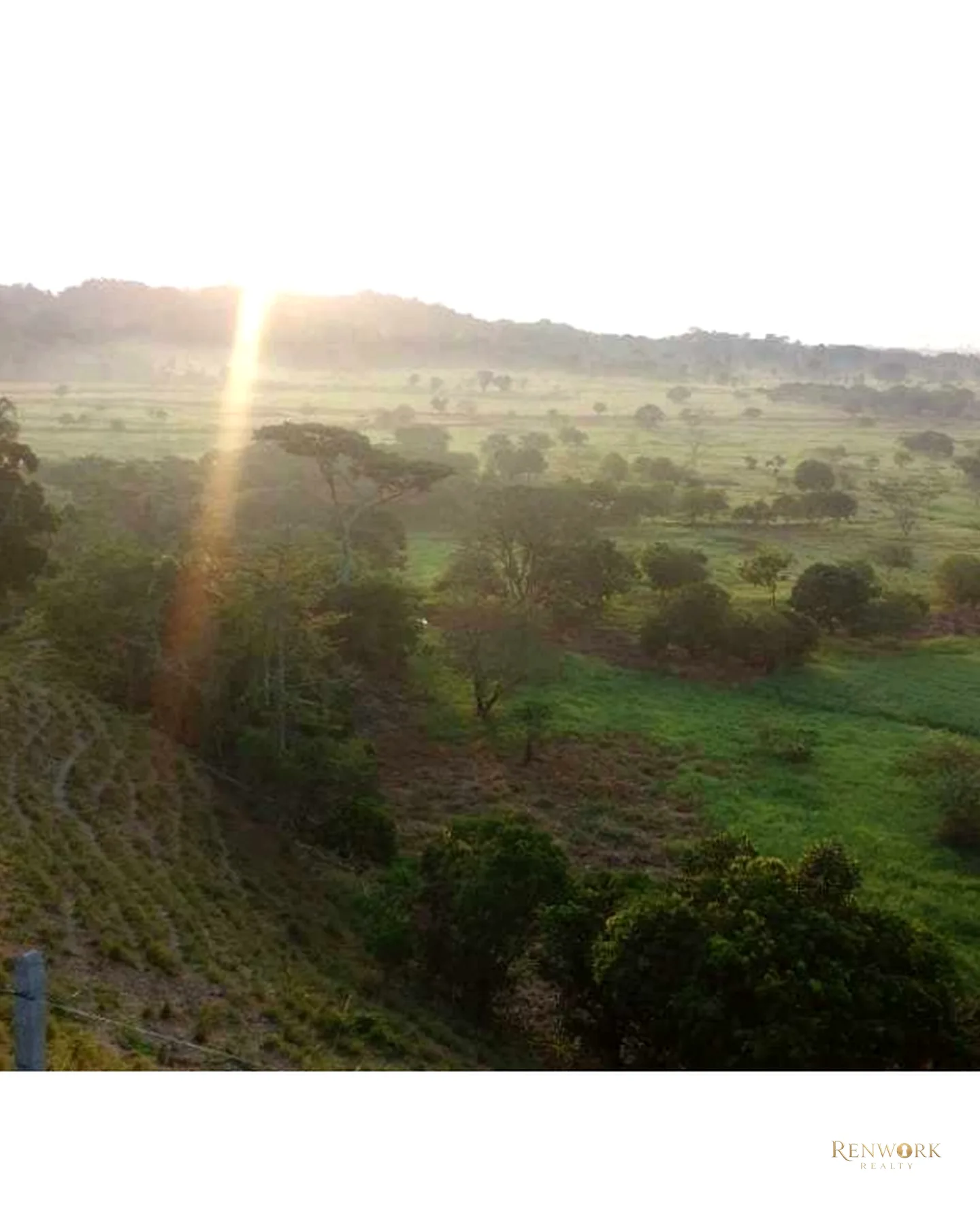 VENTA FINCA PARA CEBA ENTRE PERTO BOYACÁ Y P.BERRÍO SOBRE RUTA DEL SOL · foto 3