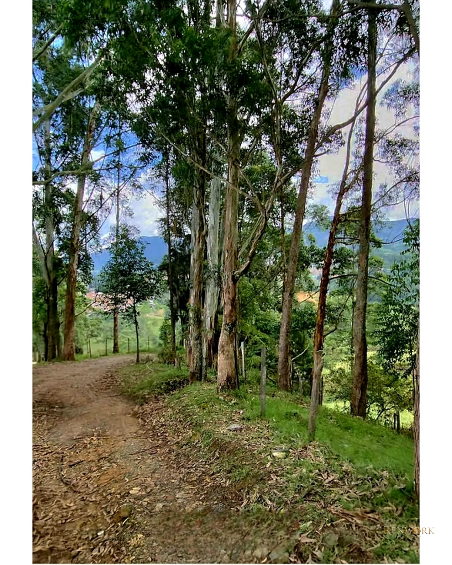 VENTA FINCA SAN ANTONIO DE PRADO. HERMOSA. 29.86 CUADRAS · foto 9