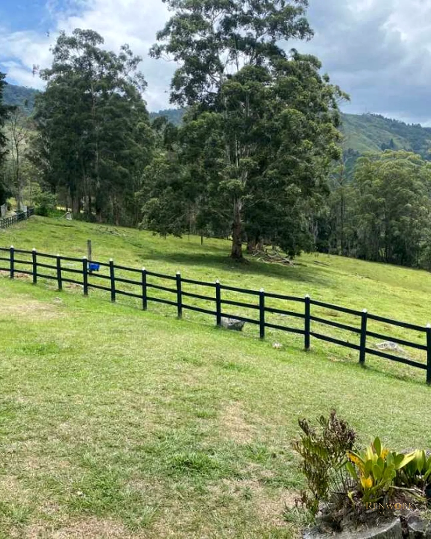 VENTA FINCA SAN ANTONIO DE PRADO. HERMOSA. 29.86 CUADRAS · foto 13