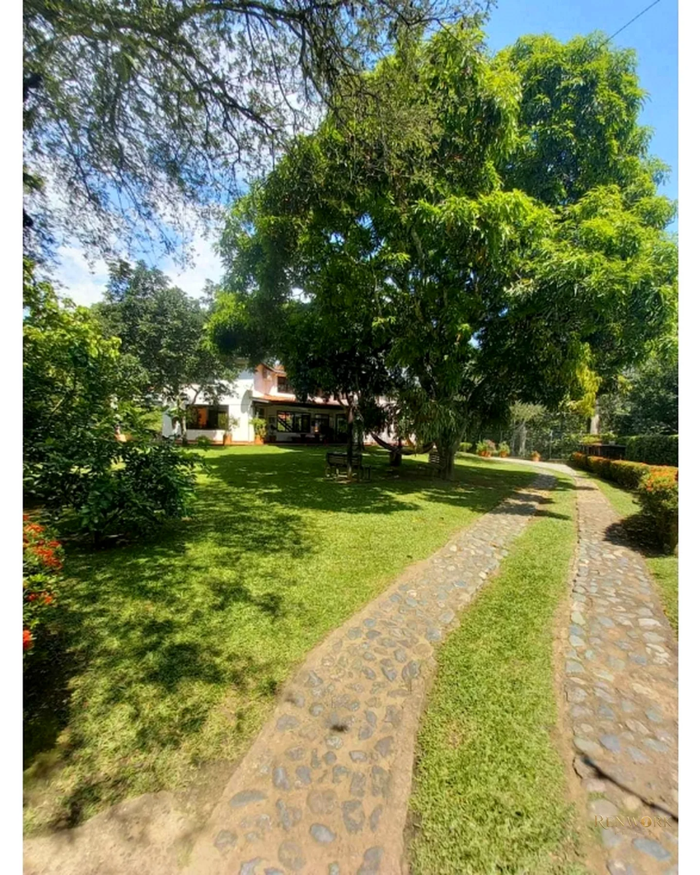 VENTA FINCA SANTA FE ANTIOQUIA ( ACTIVO DE ALTA RENTABILIDAD ) · foto 4