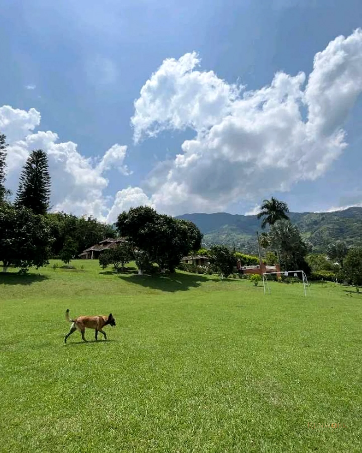 VENTA HERMOSA FINCA EN GIRARDOTA · foto 17