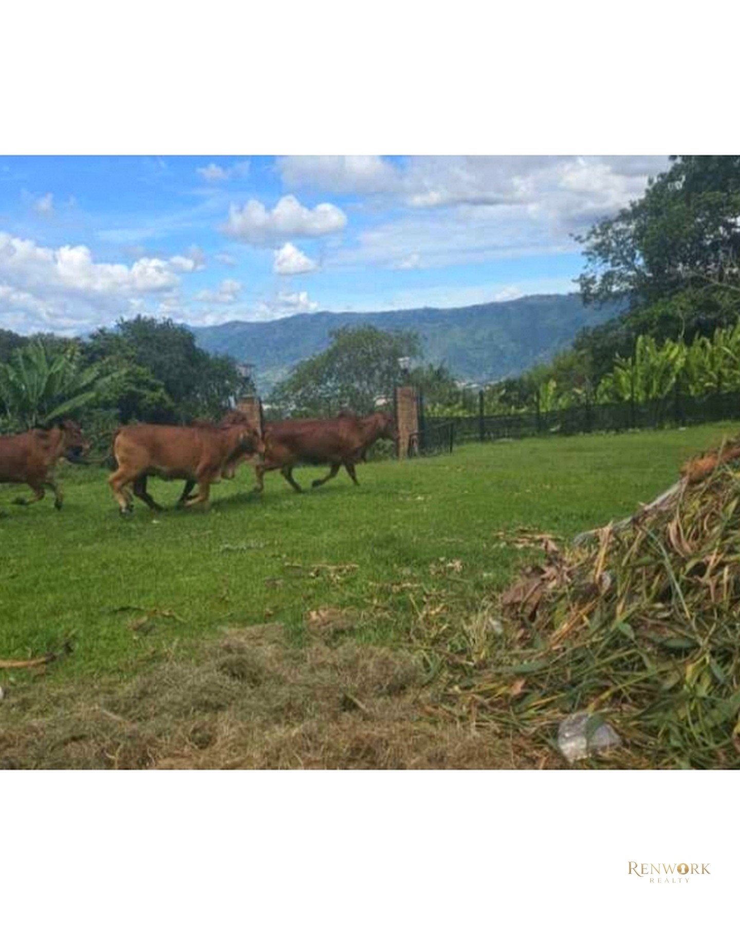 VENTA-RENTA DE CASA FINCA EN COPACABANA. · foto 7